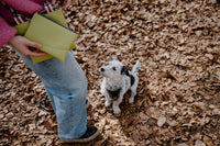 hundedecke-erwin