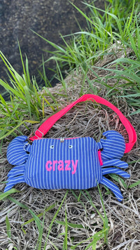 taschenkrebs-tasche-klemmchen-schnittmuster