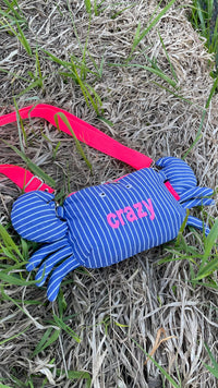 taschenkrebs-tasche-klemmchen-schnittmuster