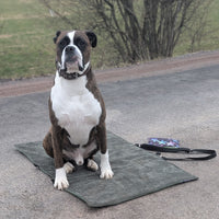 Hundedecke ERWIN