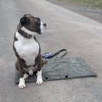 Hundedecke ERWIN
