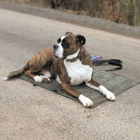 Hundedecke ERWIN