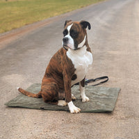 Hundedecke ERWIN