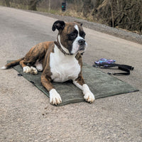 Hundedecke ERWIN