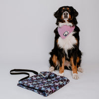 Hundedecke ERWIN