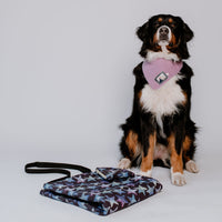 Hundedecke ERWIN