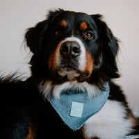 Hundehalstuch MINDY