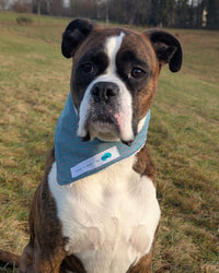 Hundehalstuch MINDY