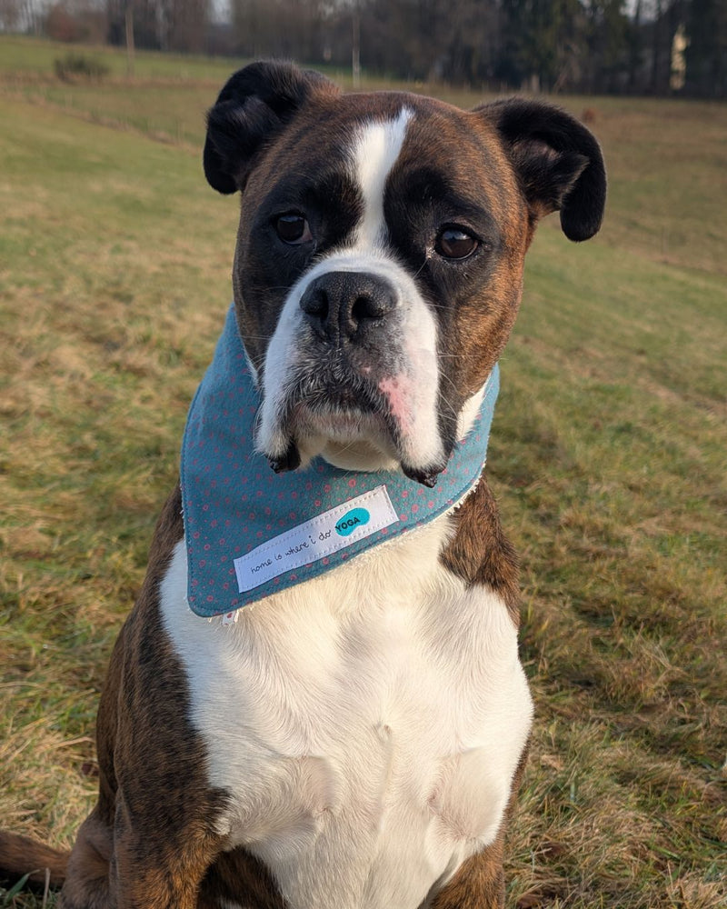 Hundehalstuch MINDY