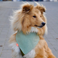 Hundehalstuch MINDY