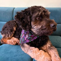Hundehalstuch MINDY