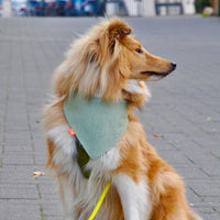 Hundehalstuch MINDY