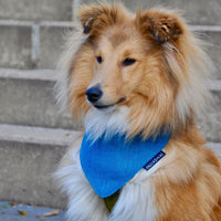 Hundehalstuch MINDY