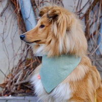 Hundehalstuch MINDY