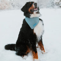 Hundehalstuch MINDY
