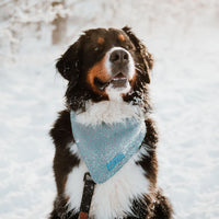 Hundehalstuch MINDY