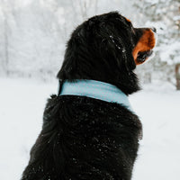 Hundehalstuch MINDY