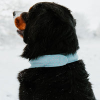 Hundehalstuch MINDY