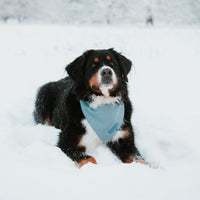 Hundehalstuch MINDY