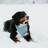 Hundehalstuch MINDY