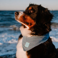 Hundehalstuch MINDY