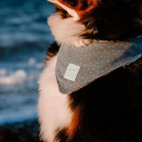 Hundehalstuch MINDY