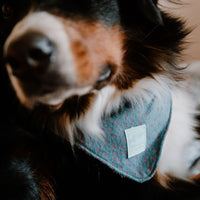 Hundehalstuch MINDY