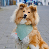 Hundehalstuch MINDY