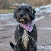 Hundehalstuch MINDY