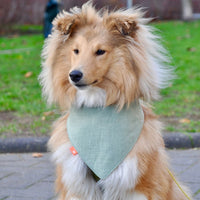 Hundehalstuch MINDY