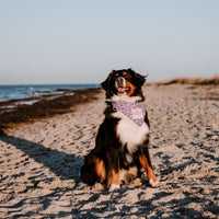 Hundehalstuch MINDY