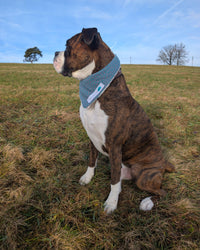 Hundehalstuch MINDY