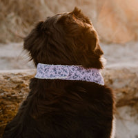 Hundehalstuch MINDY