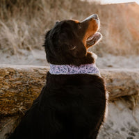 Hundehalstuch MINDY