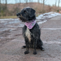 Hundehalstuch MINDY
