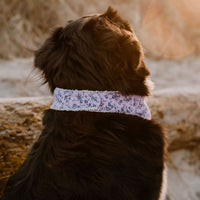 Hundehalstuch MINDY