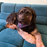 Hundehalstuch MINDY