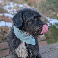 Hundehalstuch MINDY