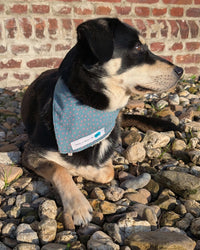 Hundehalstuch MINDY