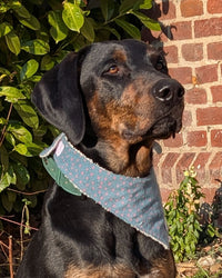 Hundehalstuch MINDY