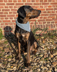 Hundehalstuch MINDY