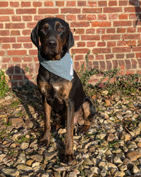 Hundehalstuch MINDY