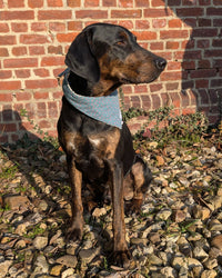 Hundehalstuch MINDY