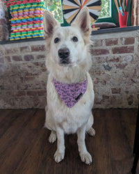 Hundehalstuch MINDY