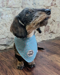 Hundehalstuch MINDY