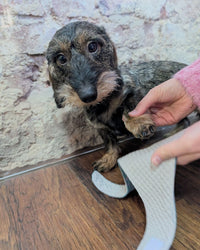 Hundehalstuch MINDY