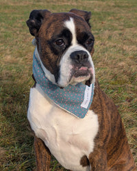 Hundehalstuch MINDY