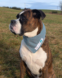 Hundehalstuch MINDY