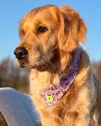 Hundehalstuch MINDY