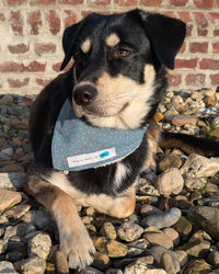 Hundehalstuch MINDY